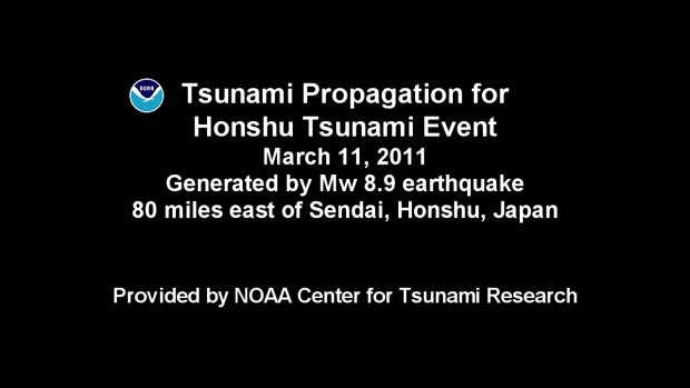 Visualisierung des Tsunami am 11.März