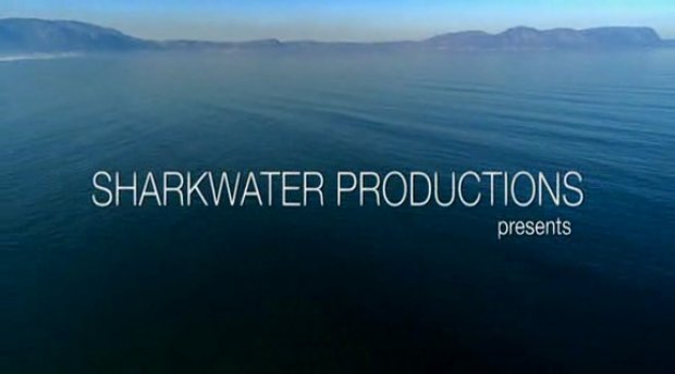 Sharkwater Teil 1